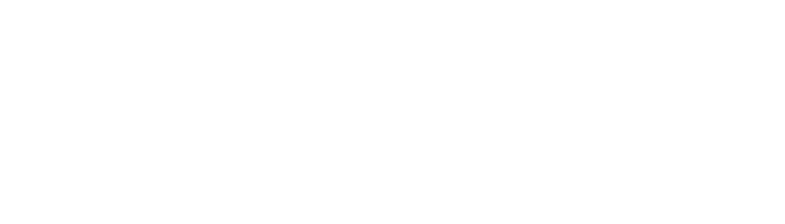 Equilibrium Travel Management